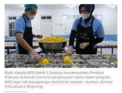 Demi Stabilitas Harga Pangan, Prabowo Putar Otak: Lauk MBG Telur Ayam Diganti Daging Sapi dan Telur Puyuh!